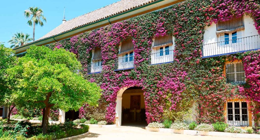 Fachada del Palacio de Las Dueñas | Sevilla Senior