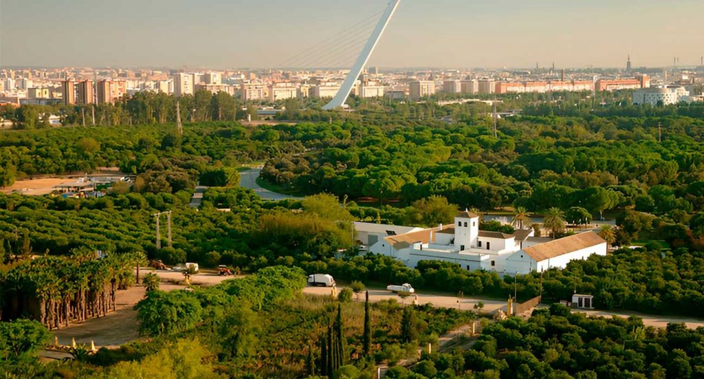 Parque del Alamillo | Sevilla con los peques