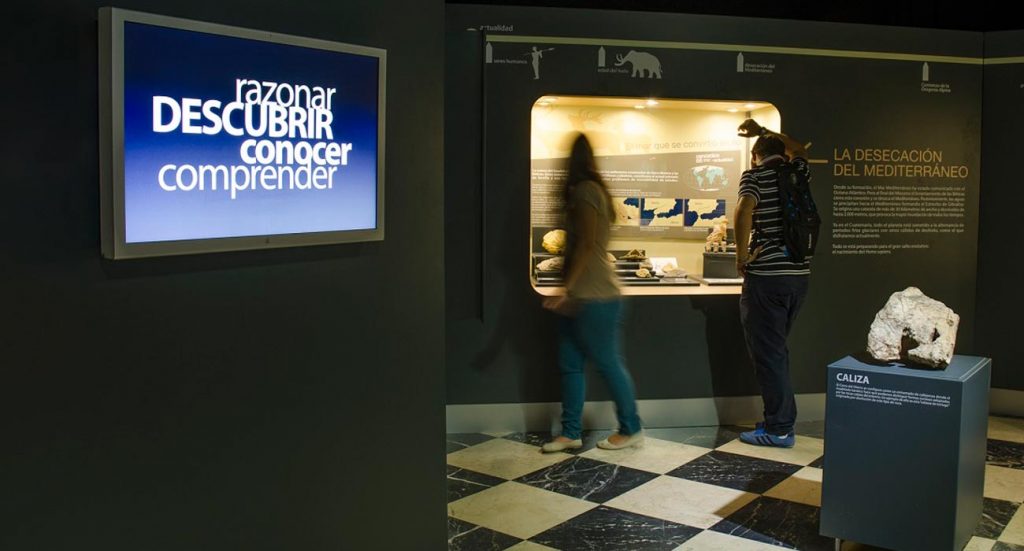 Exposición Geosevilla en la Casa de la Ciencia de Sevilla con minerales, fósiles y rocas del Museo de Geología de la Universidad de Sevilla | Sevilla Senior